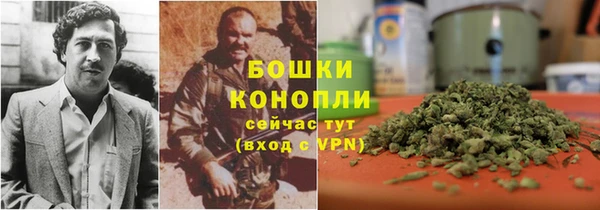дурь Инта