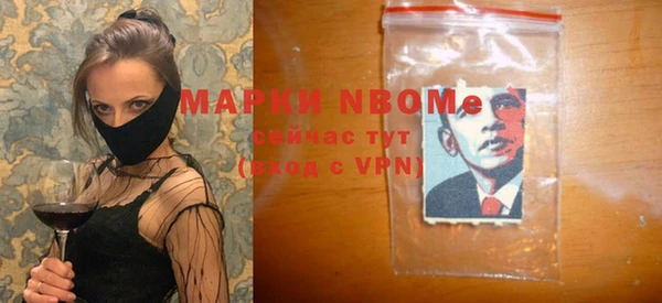 apvp Каменка