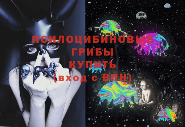 дурь Инта