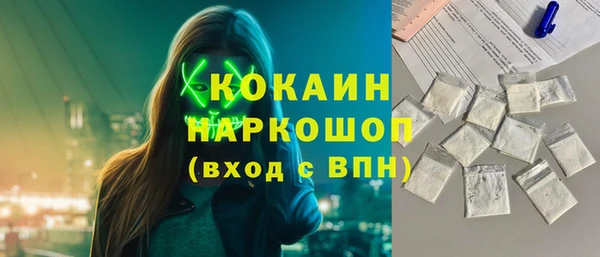 дурь Инта