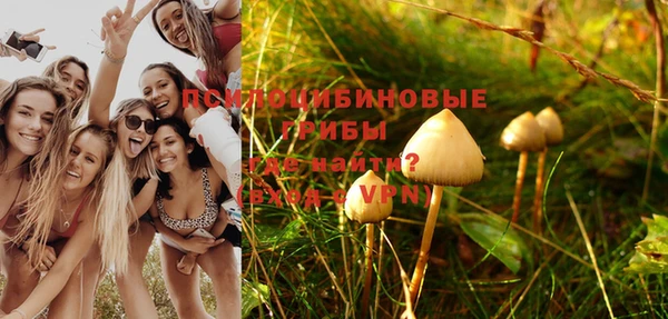 альфа пвп Усинск