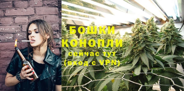 дурь Инта