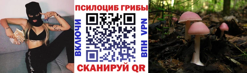 Галлюциногенные грибы прущие грибы  Купить  Минусинск 